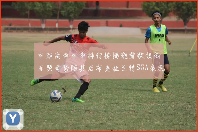 中距离命中率排行榜揭晓莺歌领衔东契奇紧随其后布克杜兰特SGA表现不俗