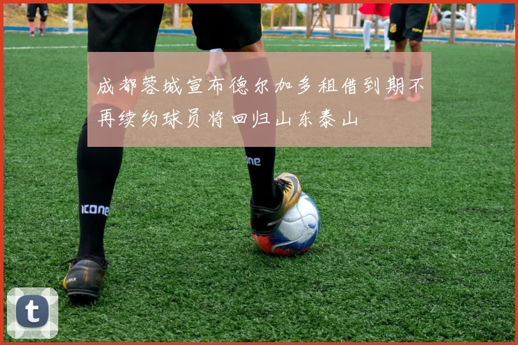 成都蓉城宣布德尔加多租借到期不再续约球员将回归山东泰山