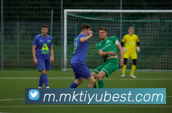 MK体育平台生态图